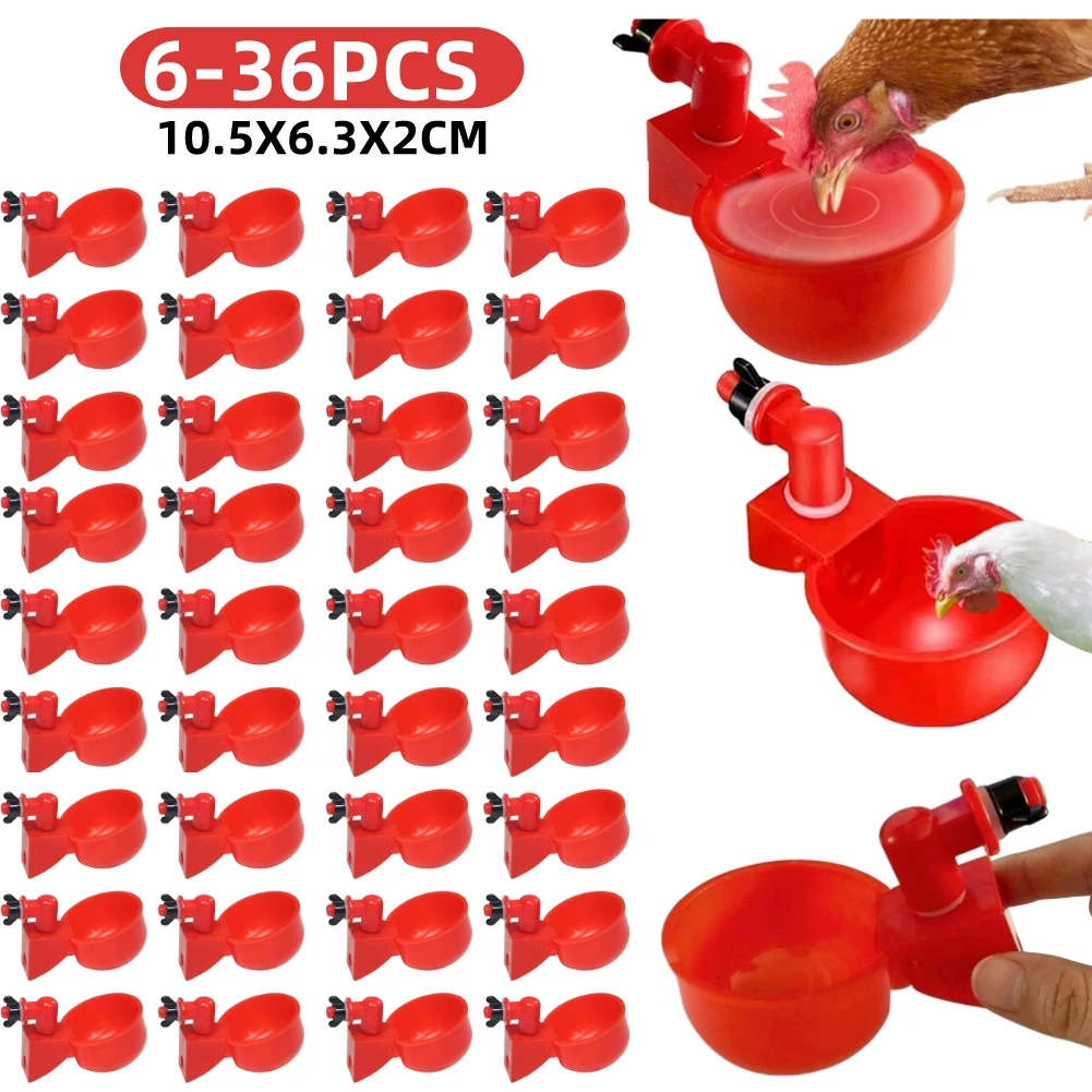 Chicken Nipple Drinker - 6-36 pezzi pollo anatra bere tazza