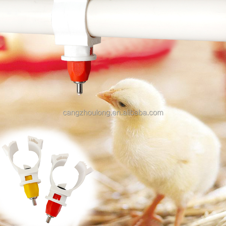 Chicken Nipple Drinker - YYW LM44 Bestseller: Abbeveratoio Automatico per