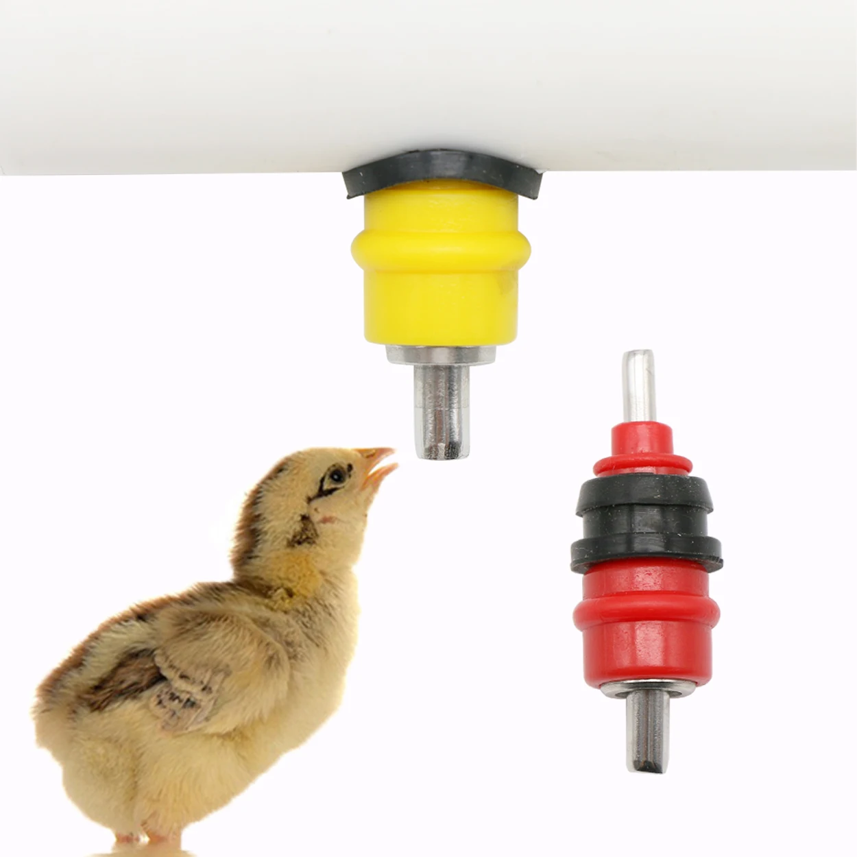 Chicken Nipple Drinker - 10 pezzi quaglia piccione uccello abbeveratoio