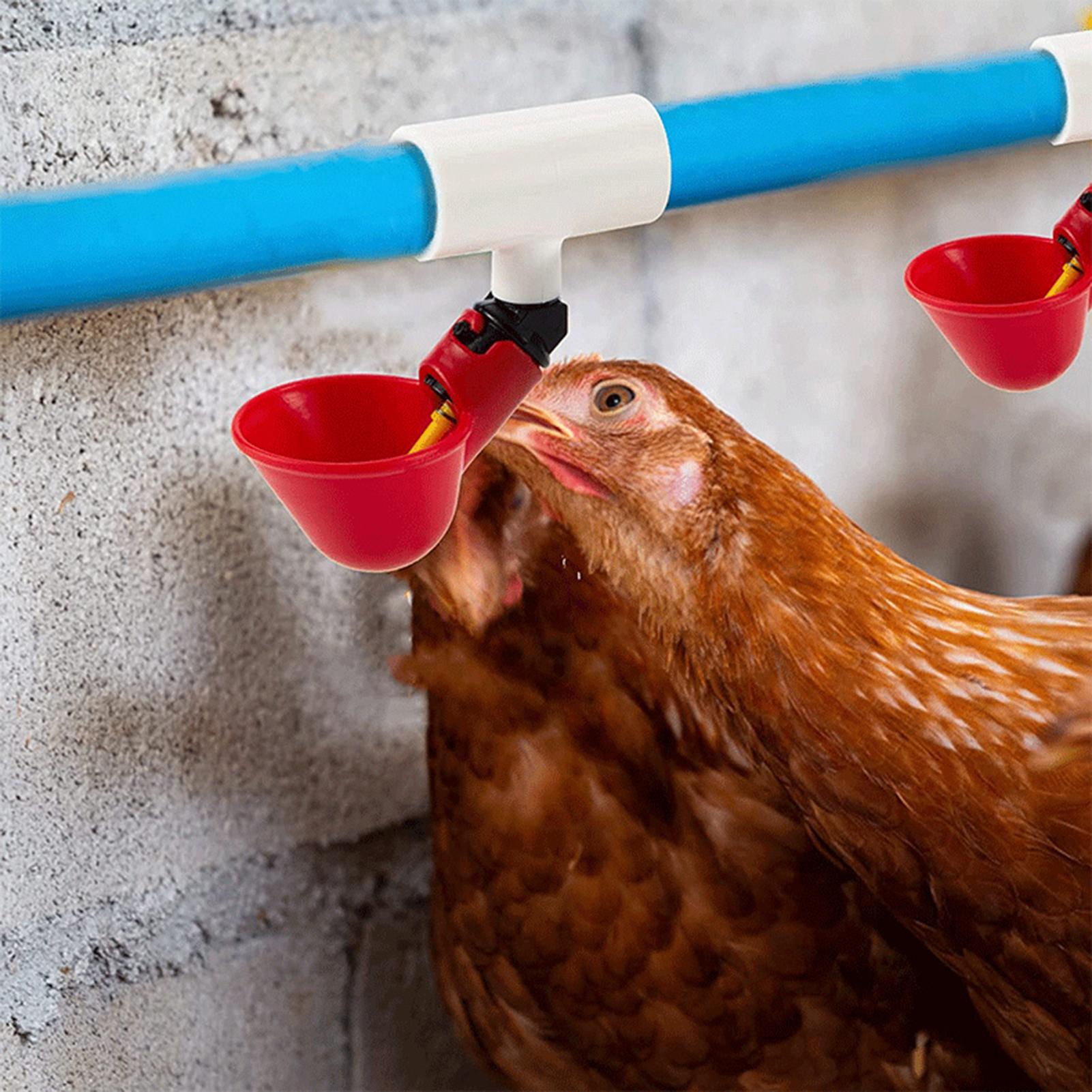 Abbeveratoio per polli Raccord - Chicken Nipple Drinker recensione e prezzo