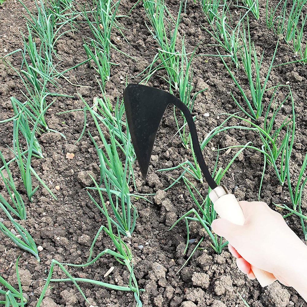 Attrezzi Agricoli: Zappa Trian - Farming Agriculture Tools recensione e prezzo
