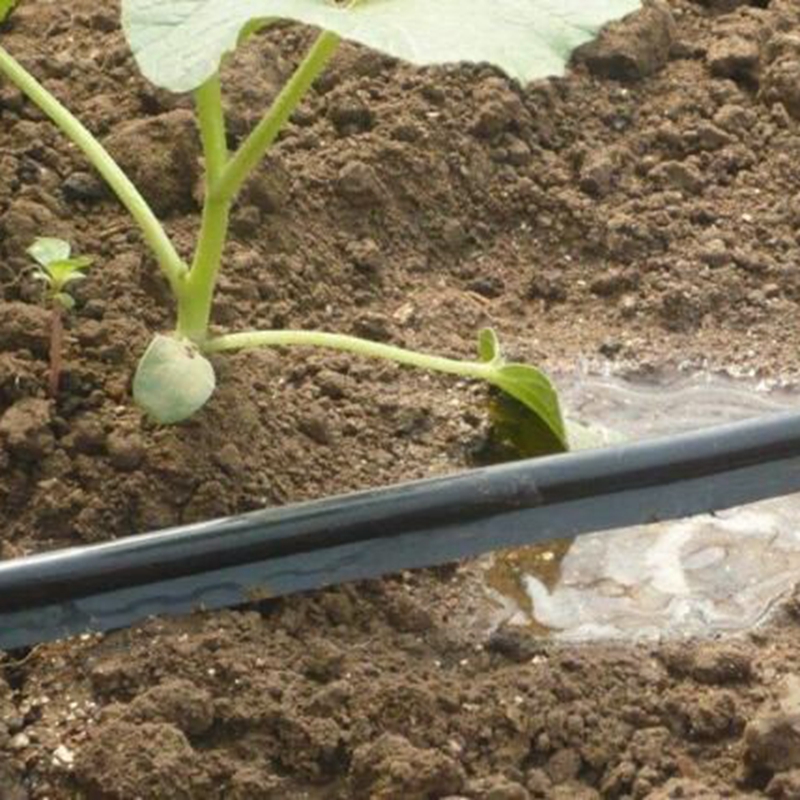 50m 100m 16mm tubo di irrigazi - Irrigation Drip Tape recensione e prezzo