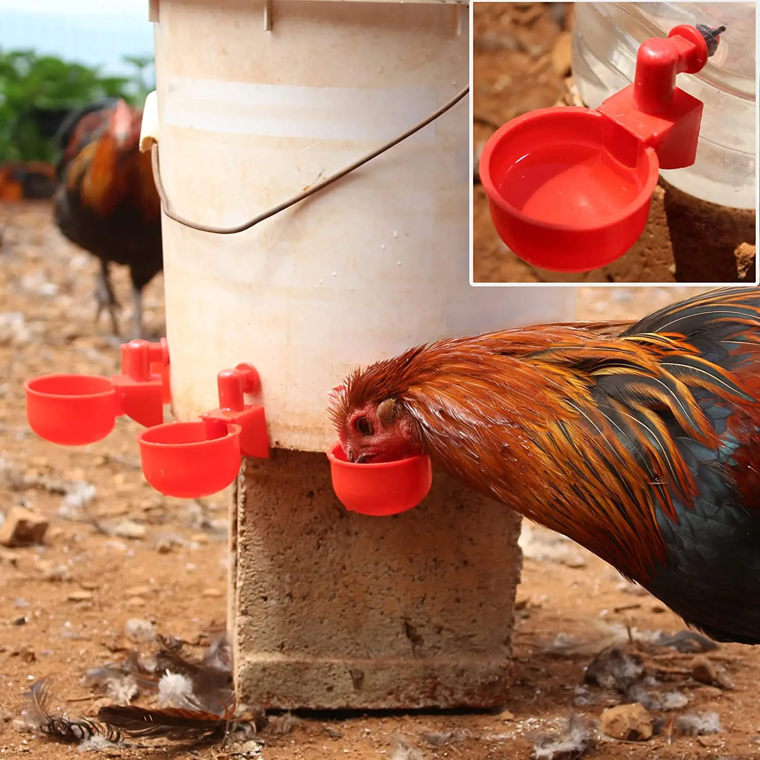 6-36 pezzi pollo anatra bere t - Chicken Nipple Drinker recensione e prezzo