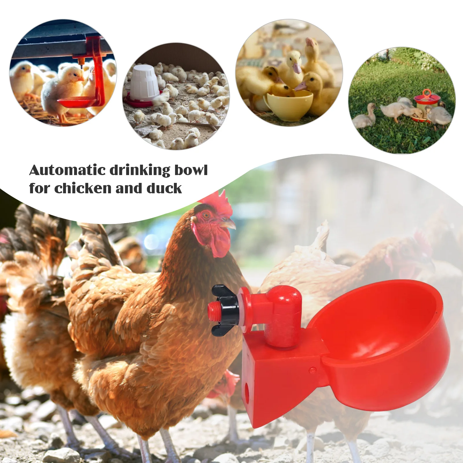 6-36 pezzi pollo anatra bere t - Chicken Nipple Drinker recensione e prezzo