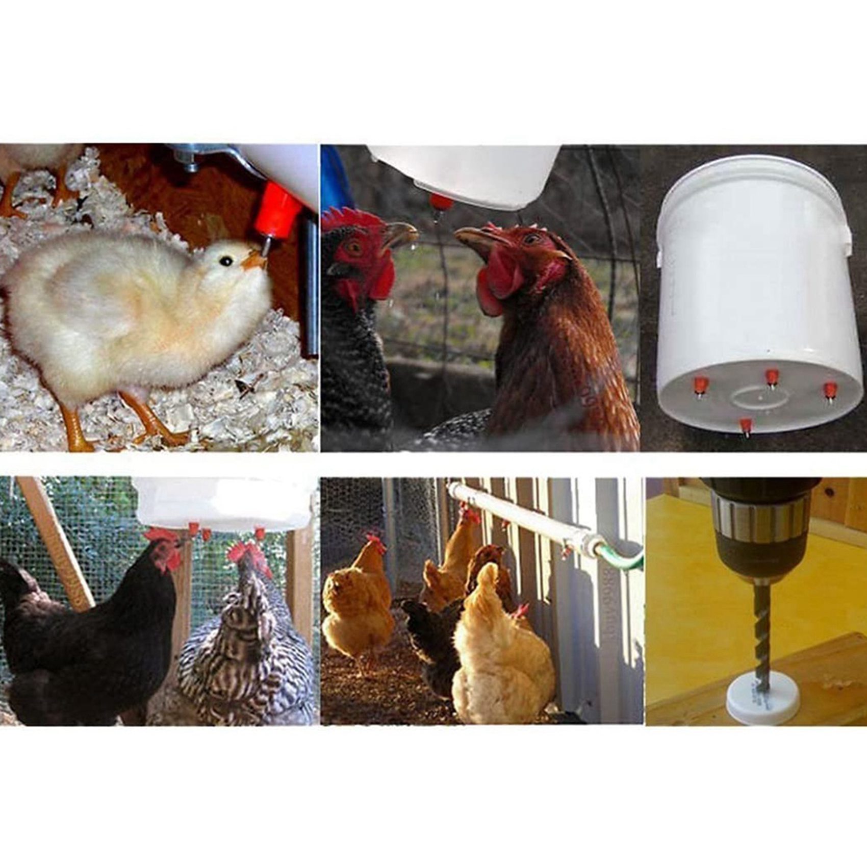 150 Pezzi Abbeveratoio a Nippl - Chicken Nipple Drinker recensione e prezzo