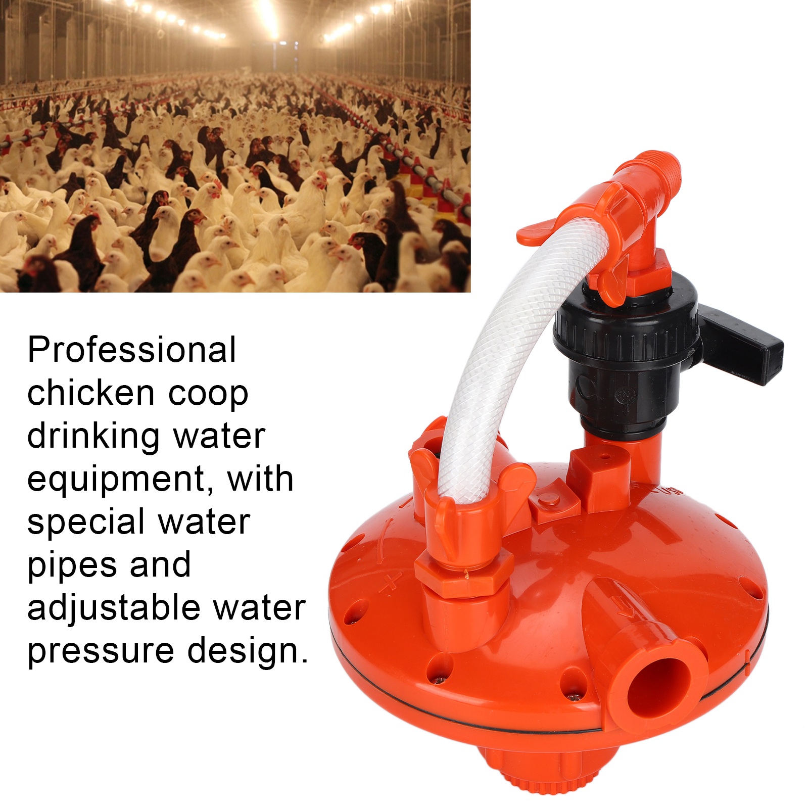 Regolatore della pressione del - Chicken Nipple Drinker recensione e prezzo