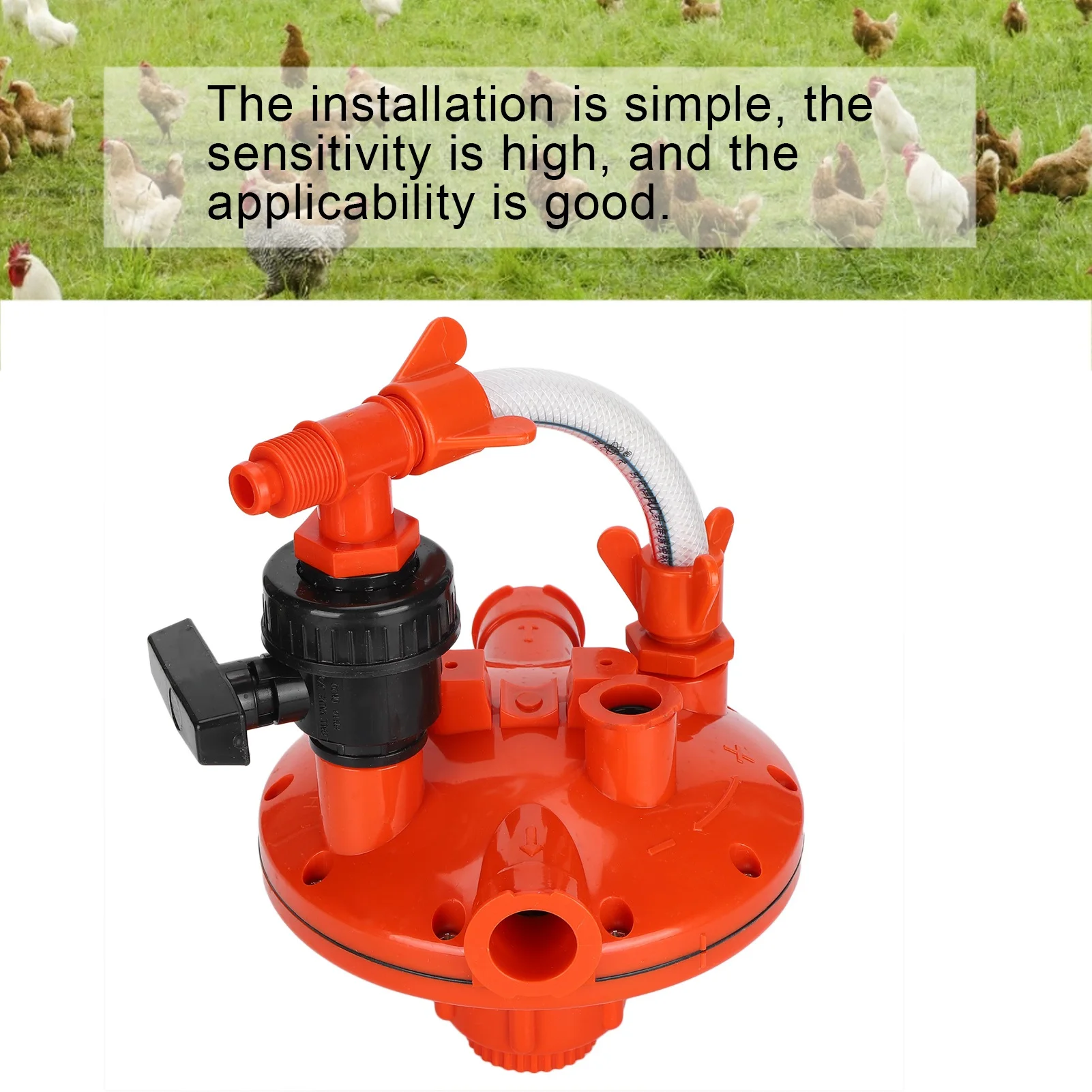 Regolatore della pressione del - Chicken Nipple Drinker recensione e prezzo