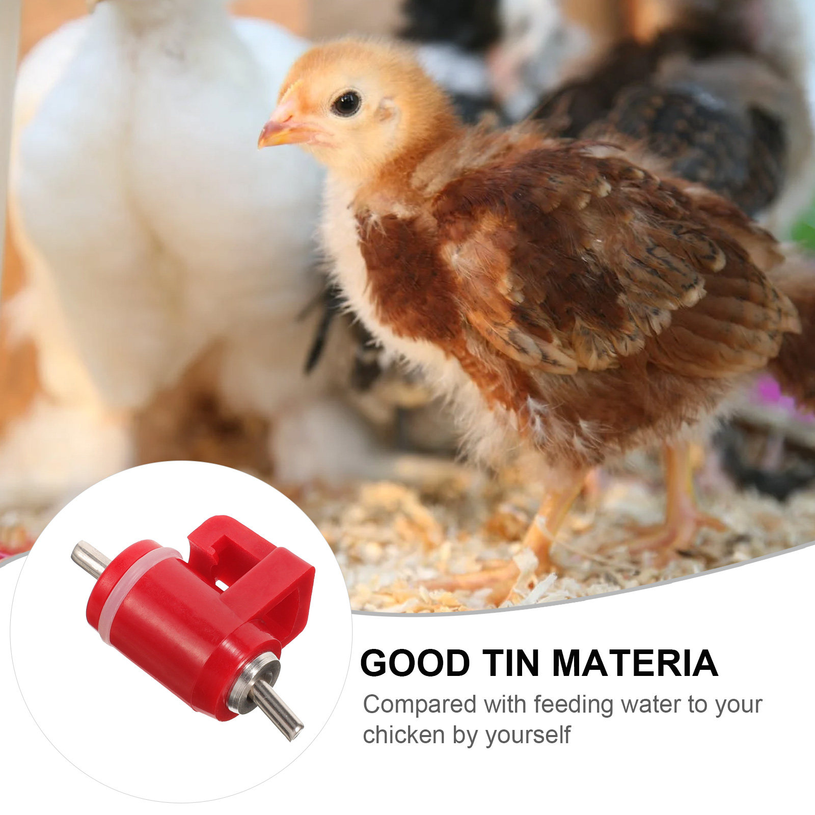 10 Pezzi Abbeveratoi Automatic - Chicken Nipple Drinker recensione e prezzo