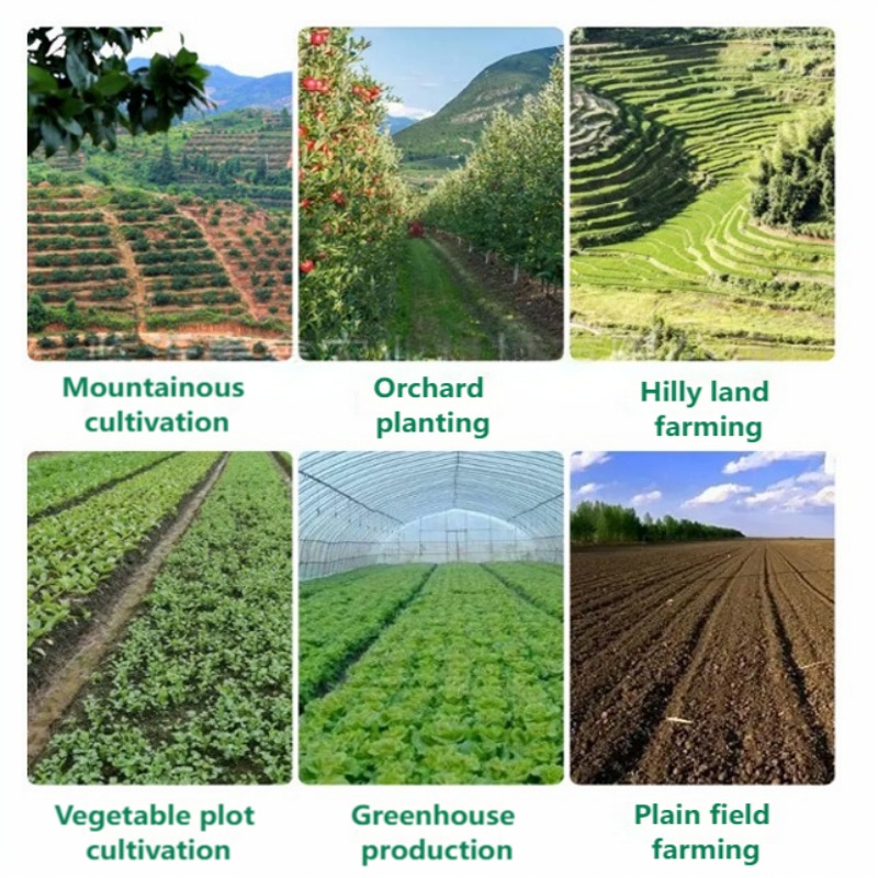 Seminatrice Manuale Multiriga  - Farming Agriculture Tools recensione e prezzo