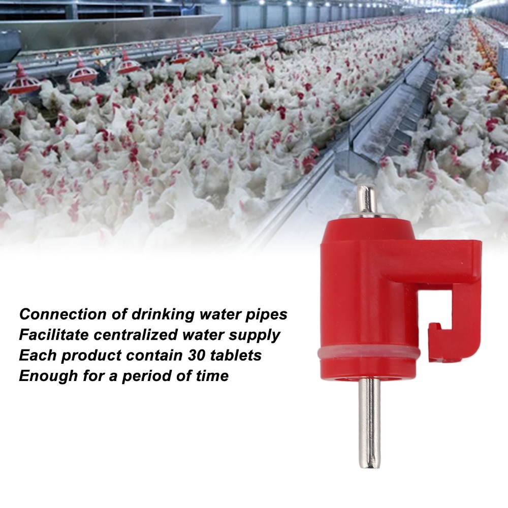 30 Pezzi Abbeveratoio a Nipple - Chicken Nipple Drinker recensione e prezzo