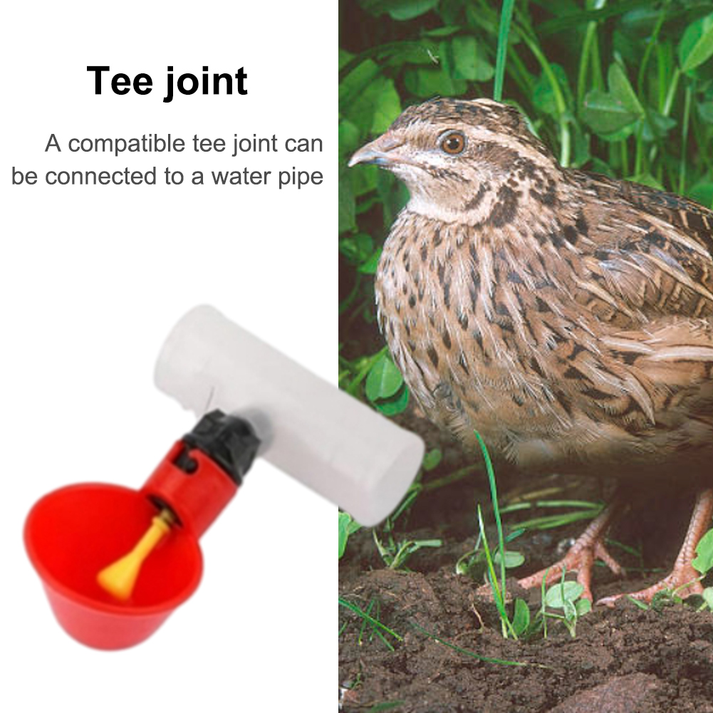 6 raccordi a T in PVC da 20 mm - Chicken Nipple Drinker recensione e prezzo