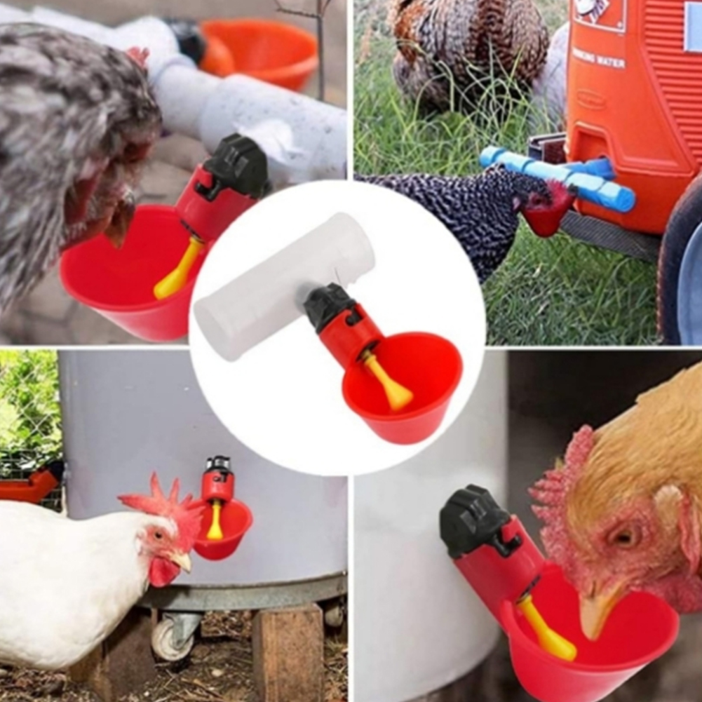 6 raccordi a T in PVC da 20 mm - Chicken Nipple Drinker recensione e prezzo