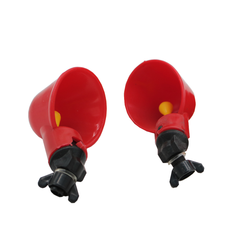 10 pezzi di pollo quaglie appe - Chicken Nipple Drinker recensione e prezzo